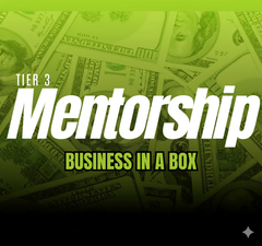 Mentorship: BUSINESS IN A BOX